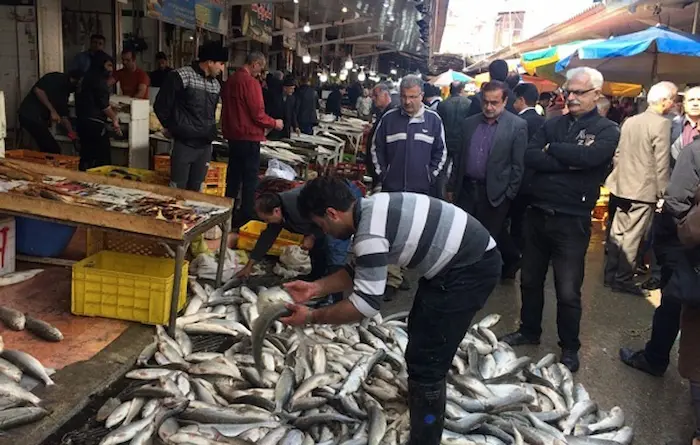 فروش ماهی سفید تازه در بازار ماهی فروشان 445845468852086