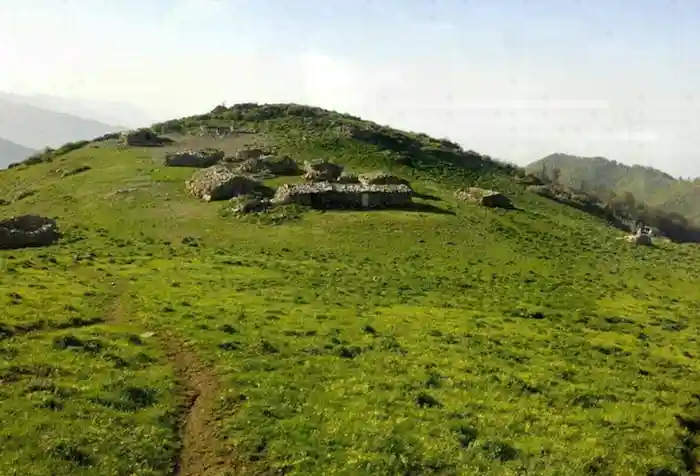 دشت و تپه های سرسبز روستای اسکنده در سرخرود 564867454