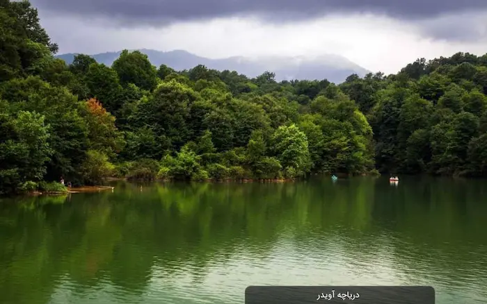 درختان سرسبز در کنار دریاچه آویدر در زیر آسمان ابری مازندران 252326