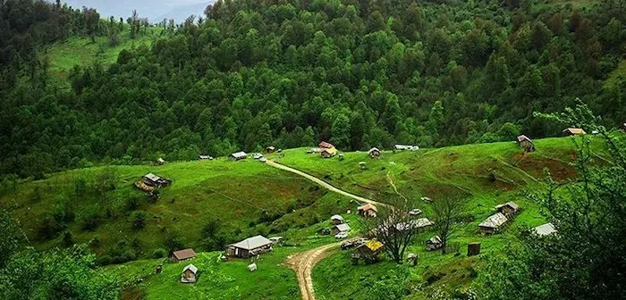 دشت های سرسبز و درختان زیبا در اطراف روستای شیرا فریدونکنار 418367674684