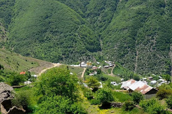 سرسبزی درختان تنومند در منطقه ای از روستای سیاه کلا محمودآباد 4176874