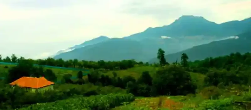روستای افراتخت سرسبز در دل کوه های سبز در سرخرود 564987454
